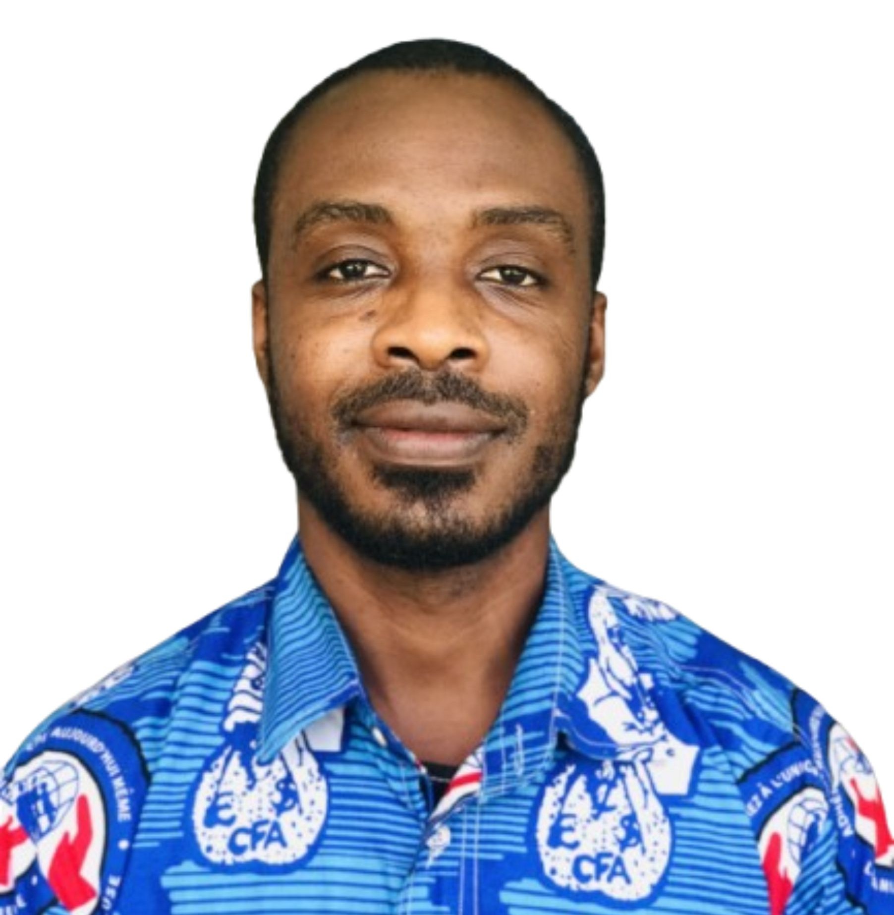 Mr. David Kwesi Adjei